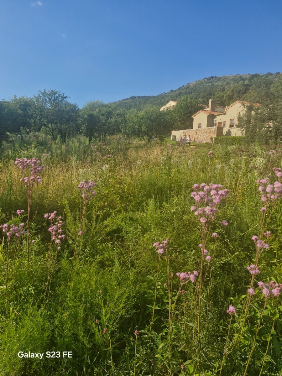 Commercial Property for Sale in Estate D Afrique North West